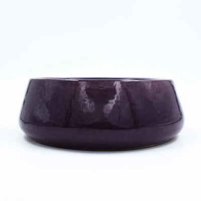 Tulip Fantasy Flat Purple Planter