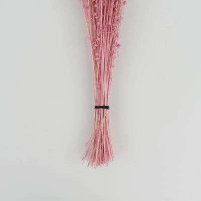 Tishi Grass Pink