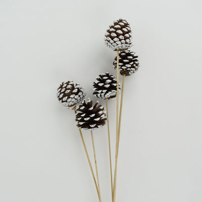 Christmas Pine Cone in Stem