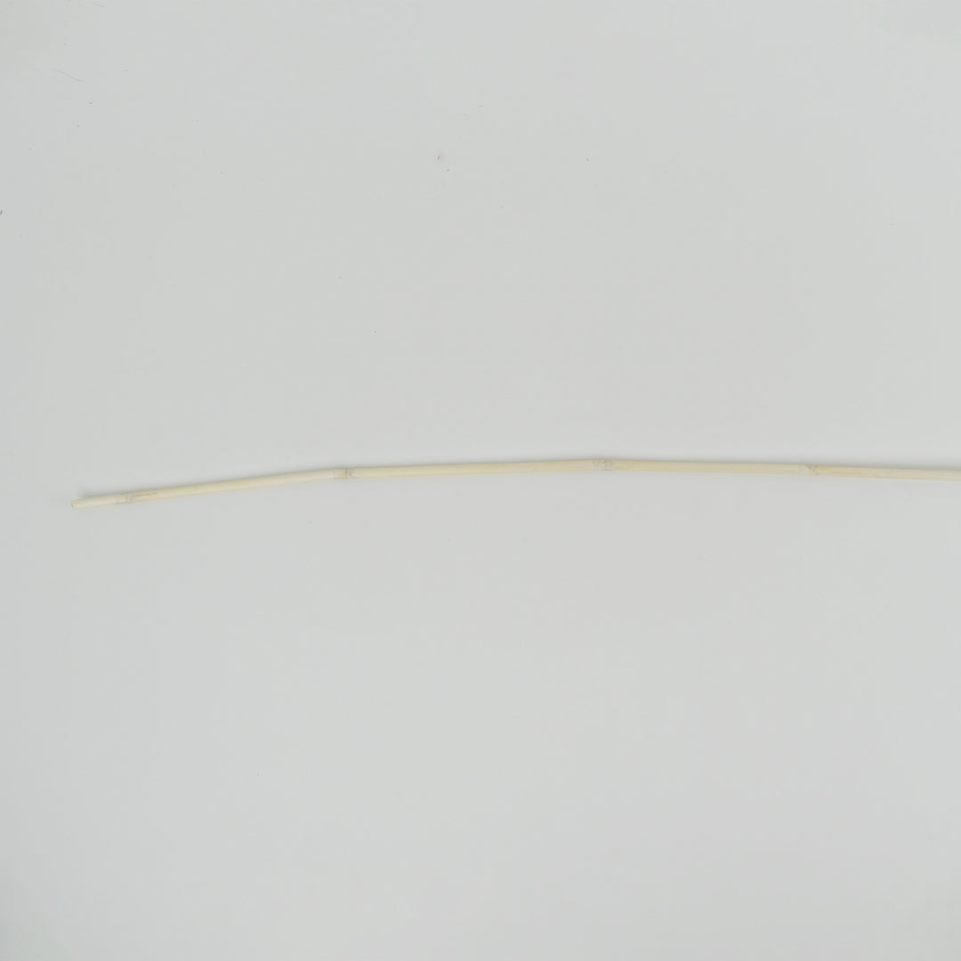 Coriander Stick