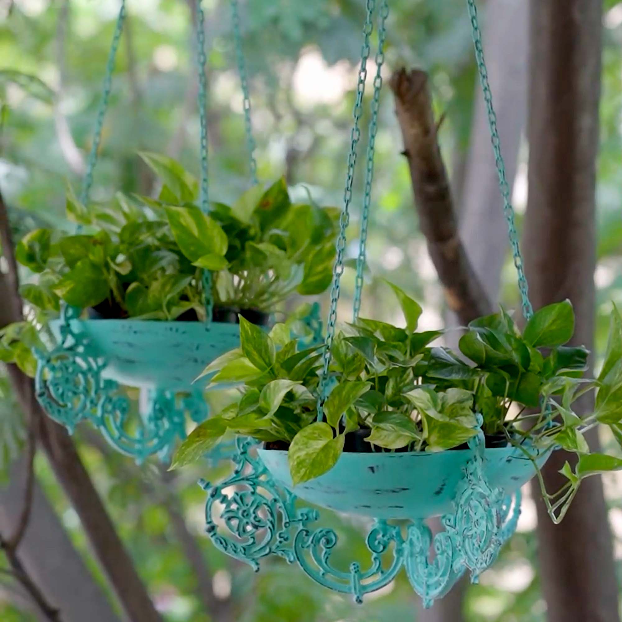 Cast Iron Hanging Planter
