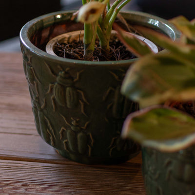 Ceramic Pot Green