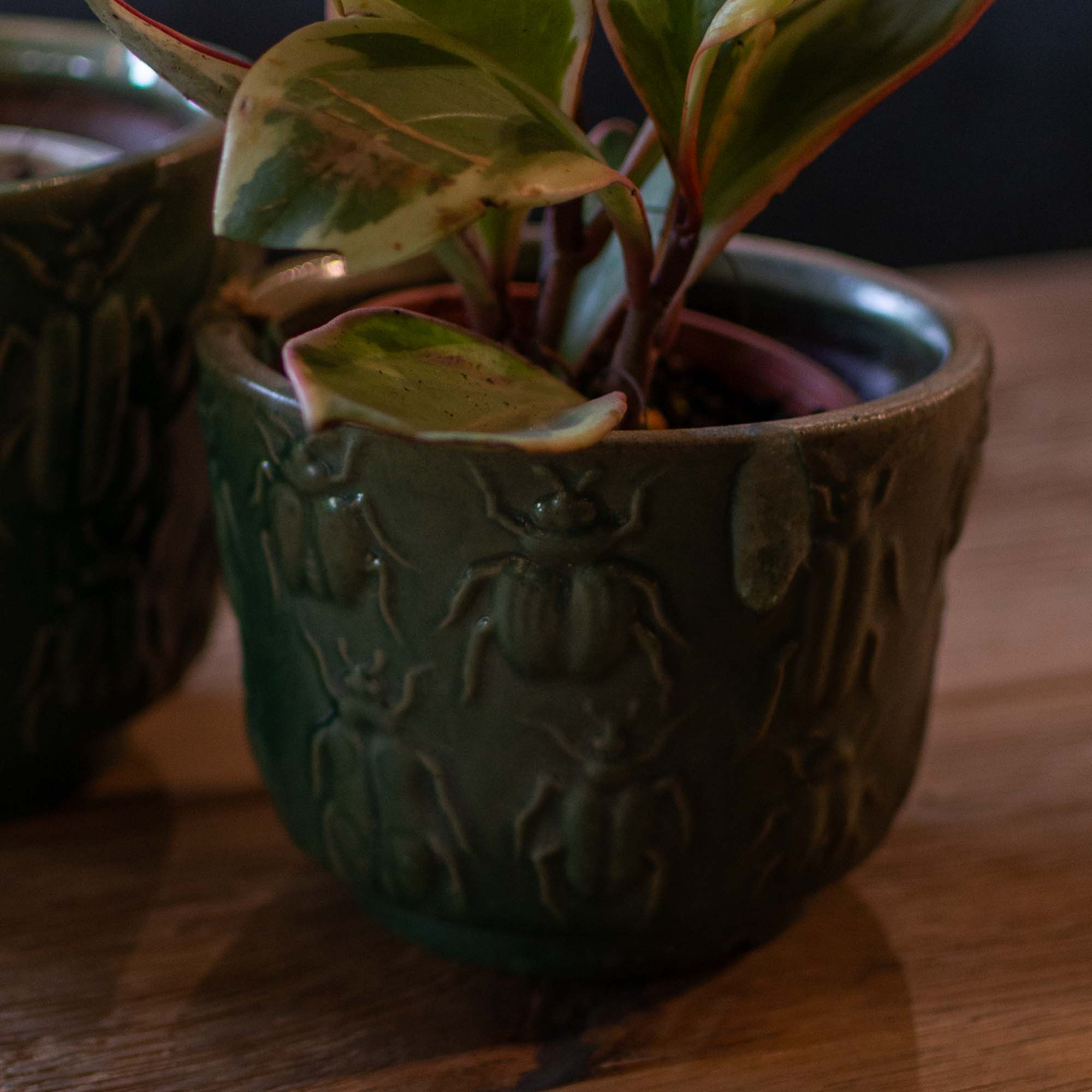 Ceramic Pot Green