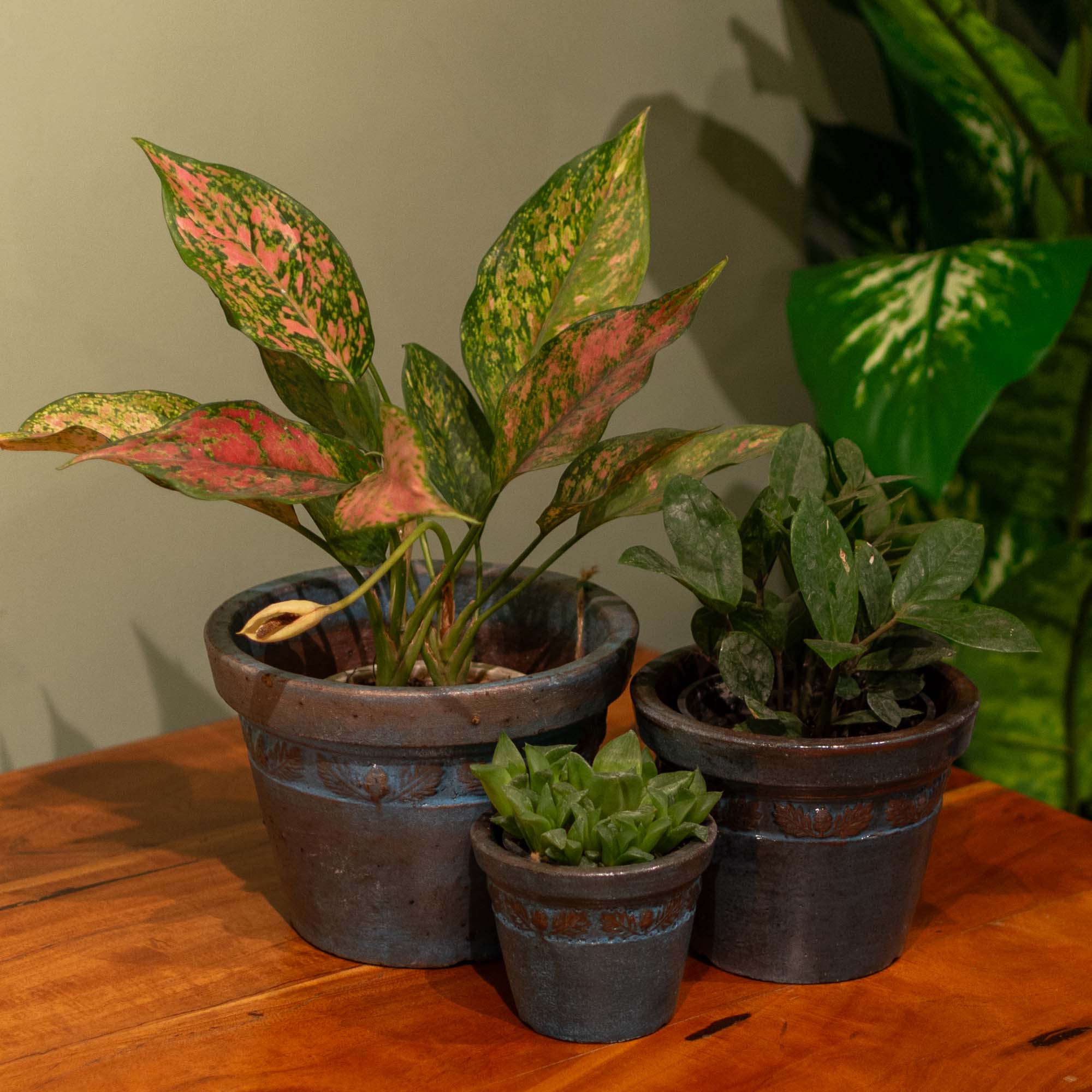 Hollis Ceramic Pot