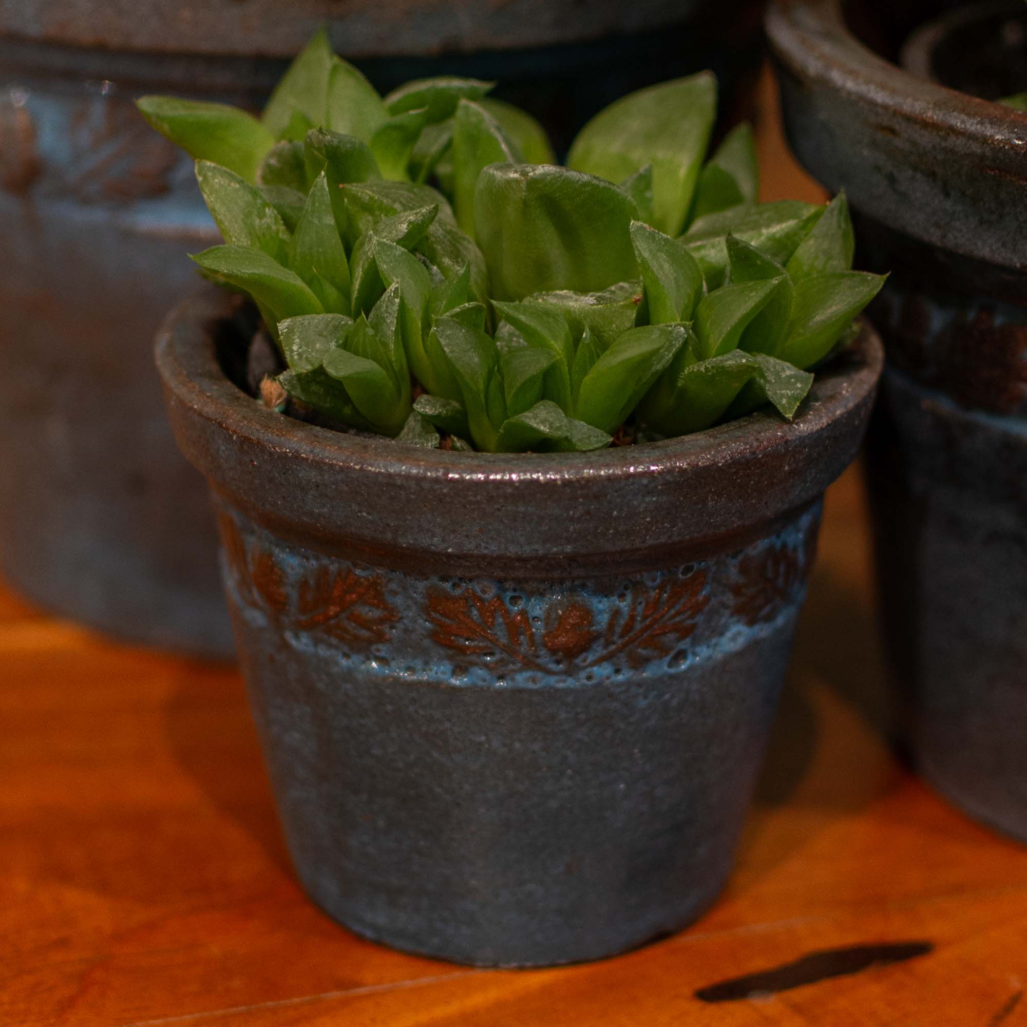 Hollis Ceramic Pot