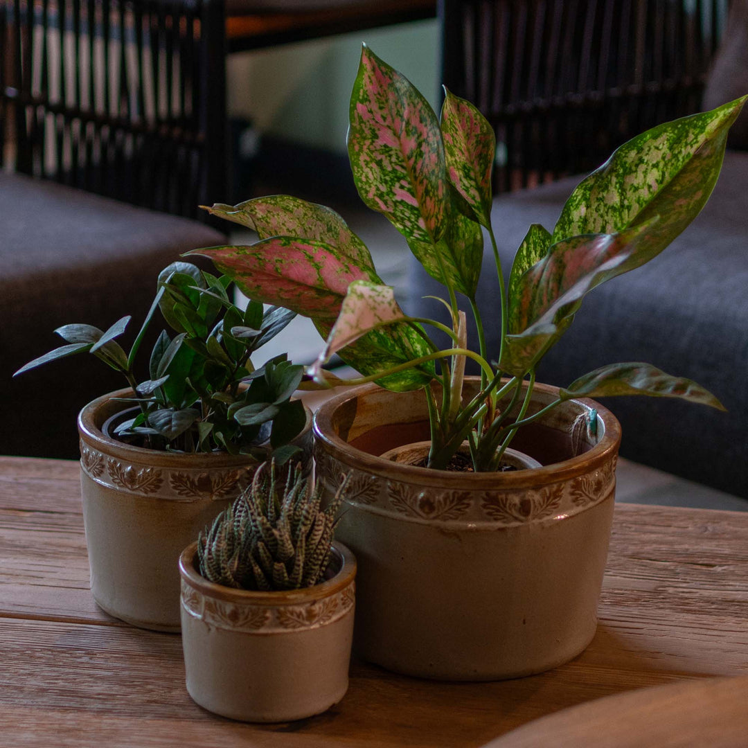 Lana Ceramic Pot