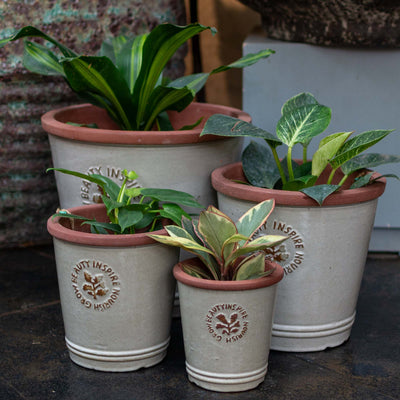 Rue Ceramic Pot