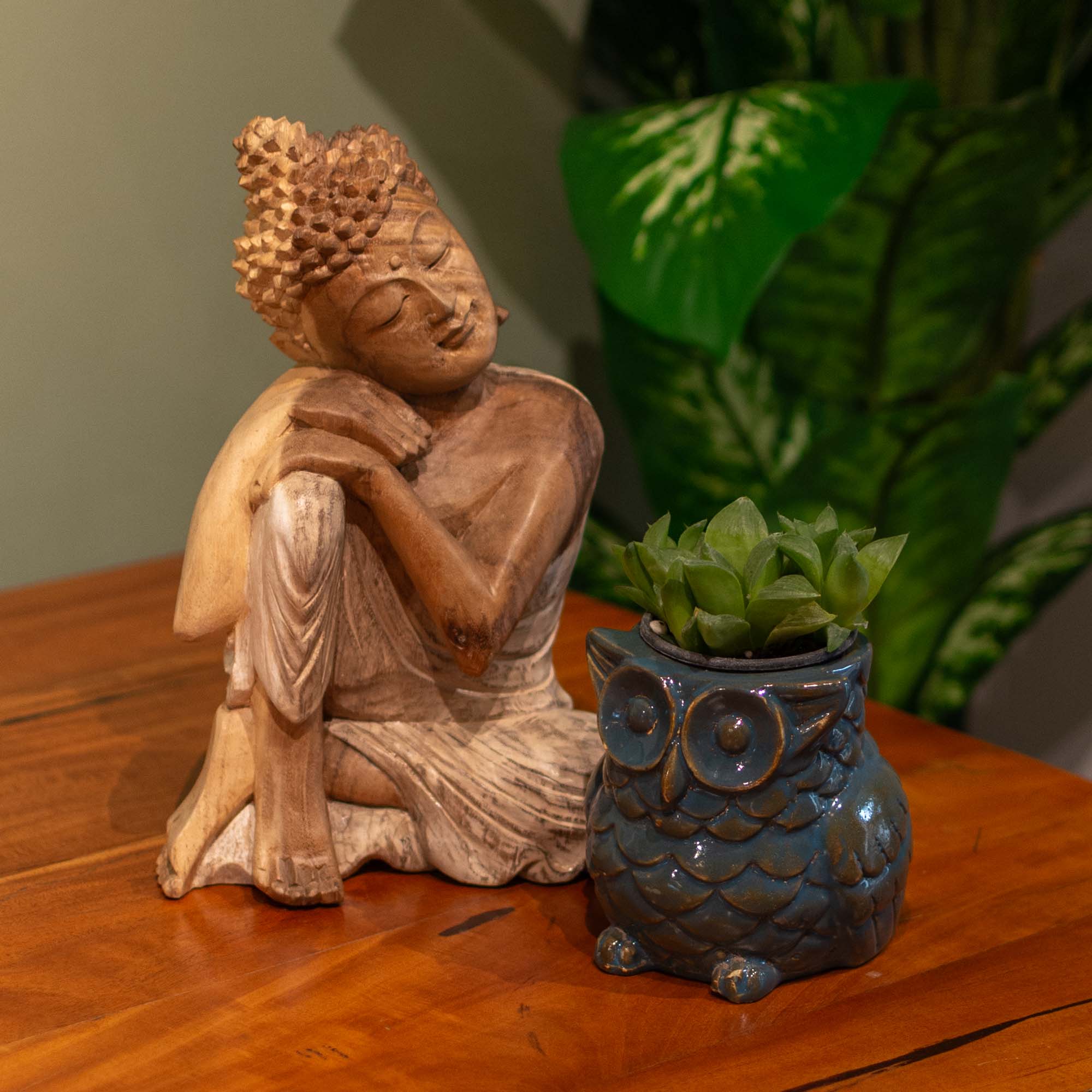 Owl Ceramic Pot