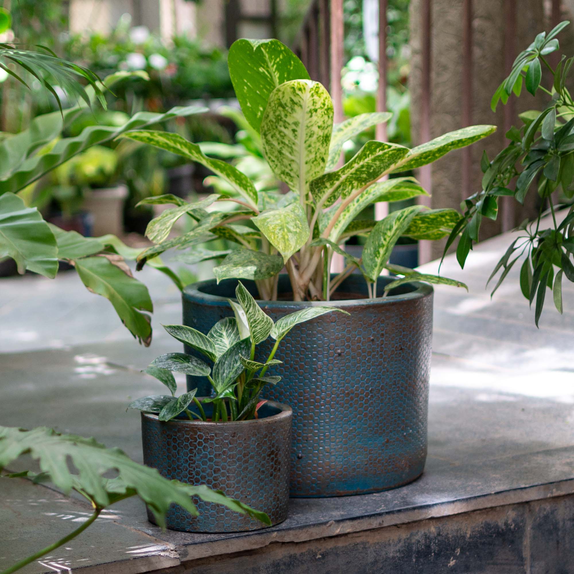 Round Antique Ceramic Pot