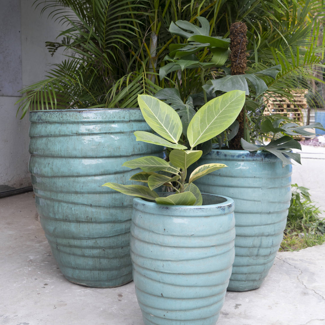 Tall Broad Ruffle Pot