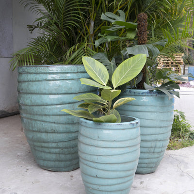 Tall Broad Ruffle Pot