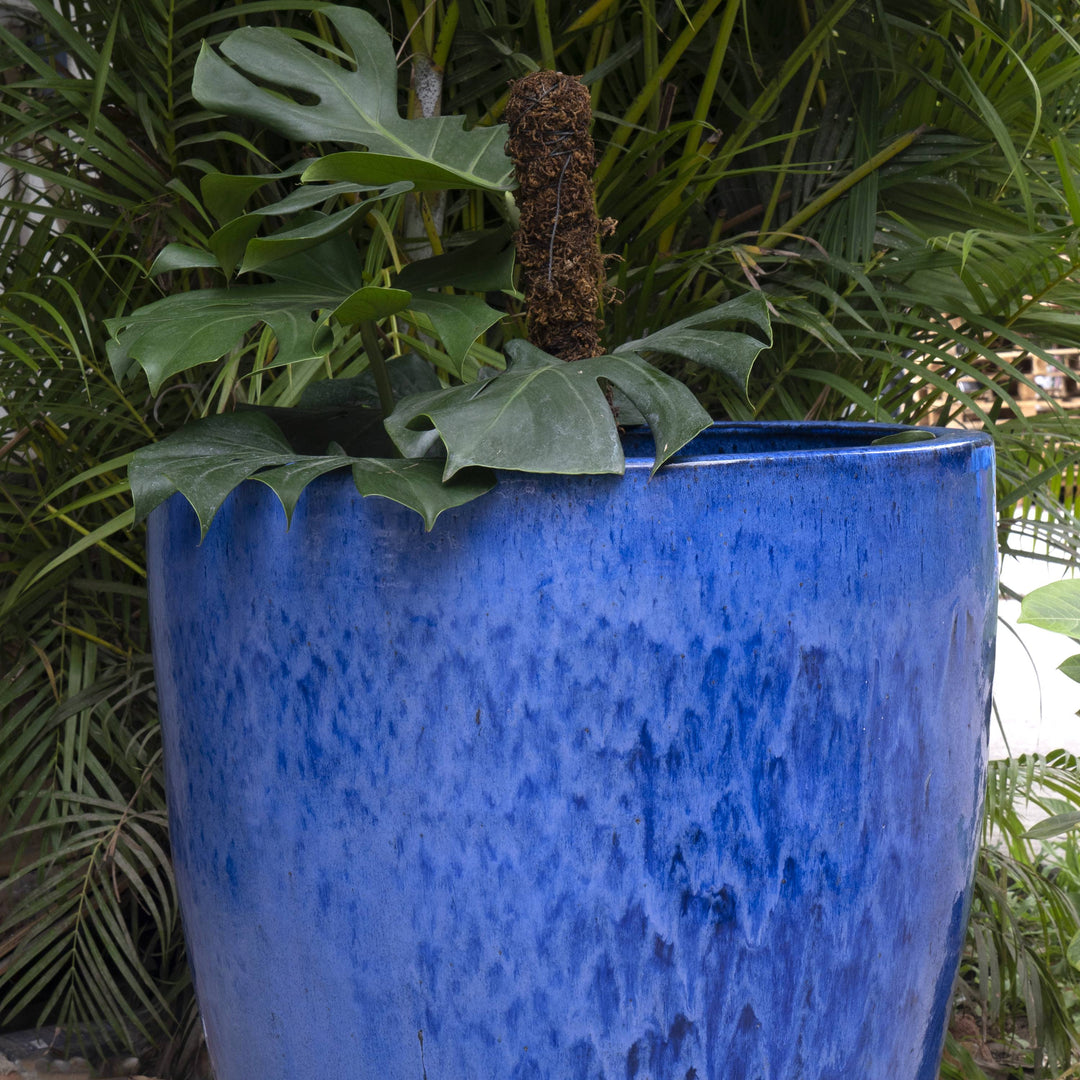 Basic Tall Blue Pot