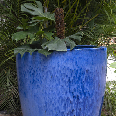 Basic Tall Blue Pot