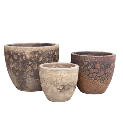 Egg Pot
