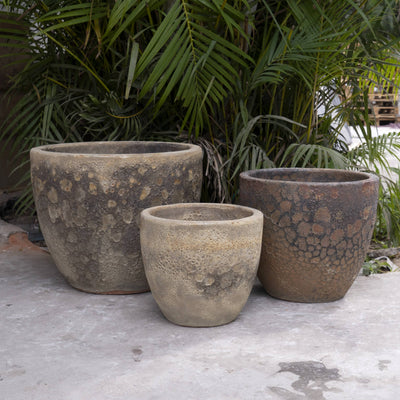 Egg Pot