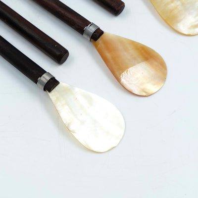 Shell Spoon & Wood (Set of 5)