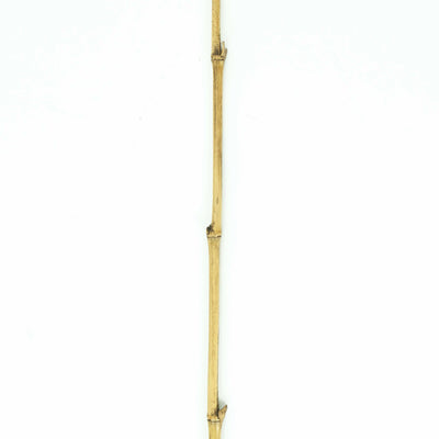 Palmira Tall Stick