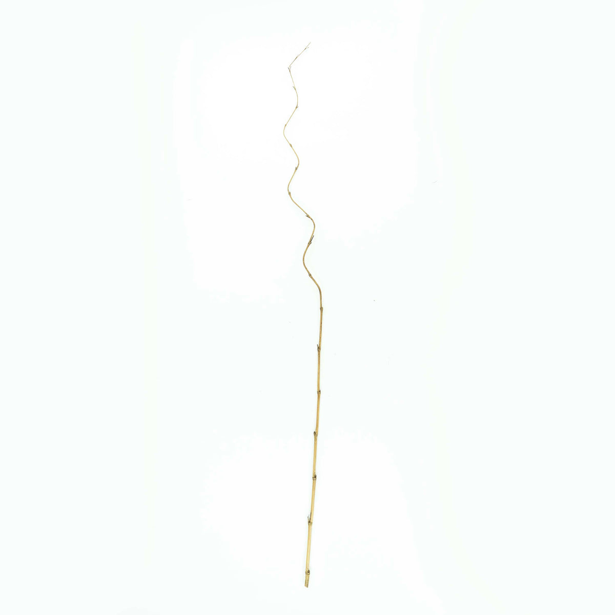 Bamboo Stick