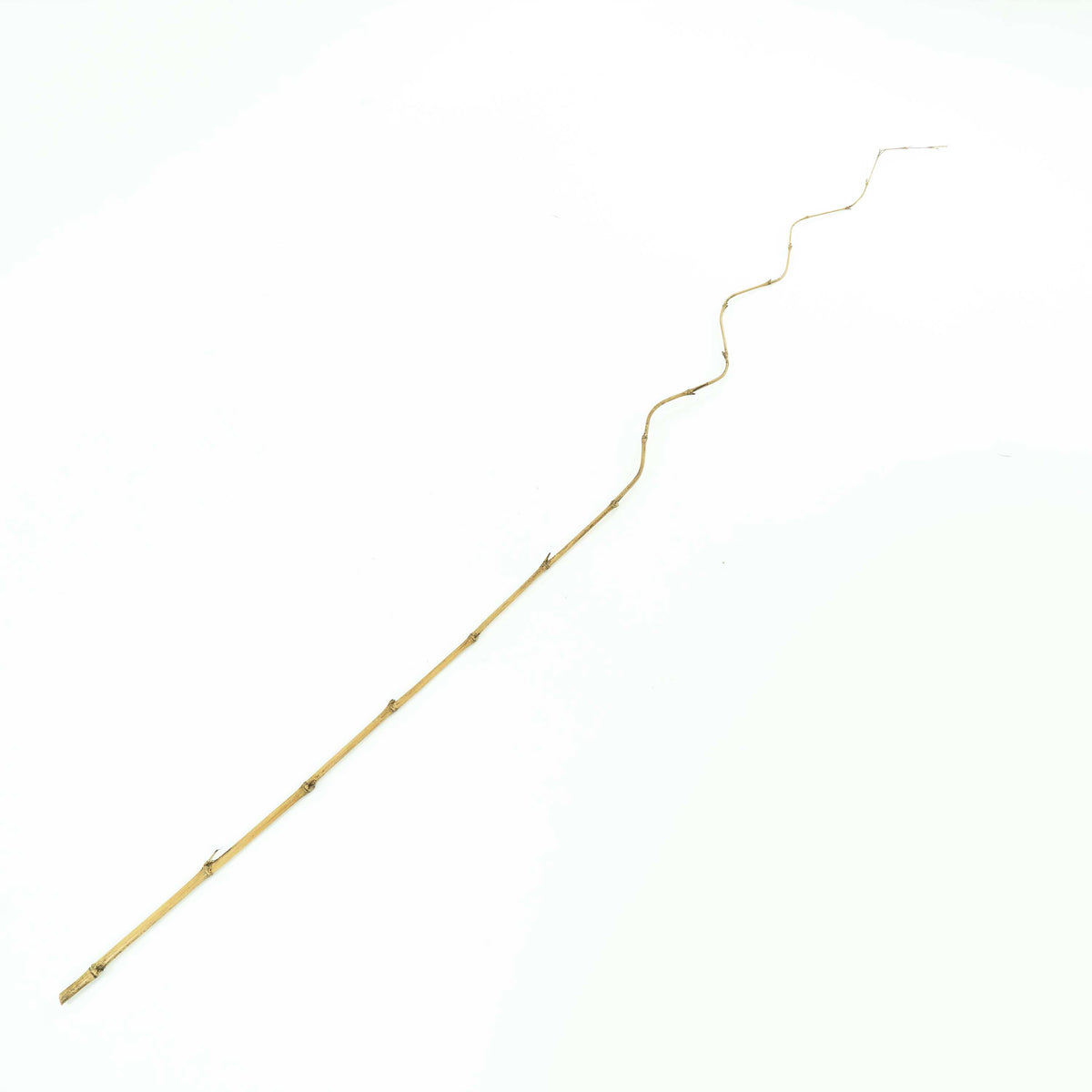 Bamboo Stick