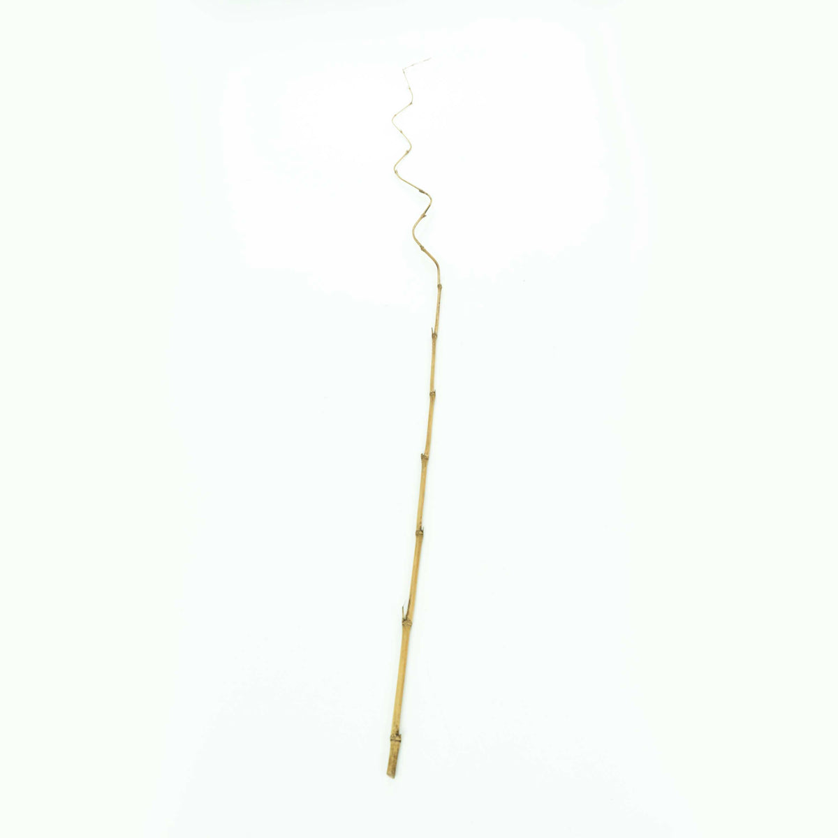Bamboo Stick