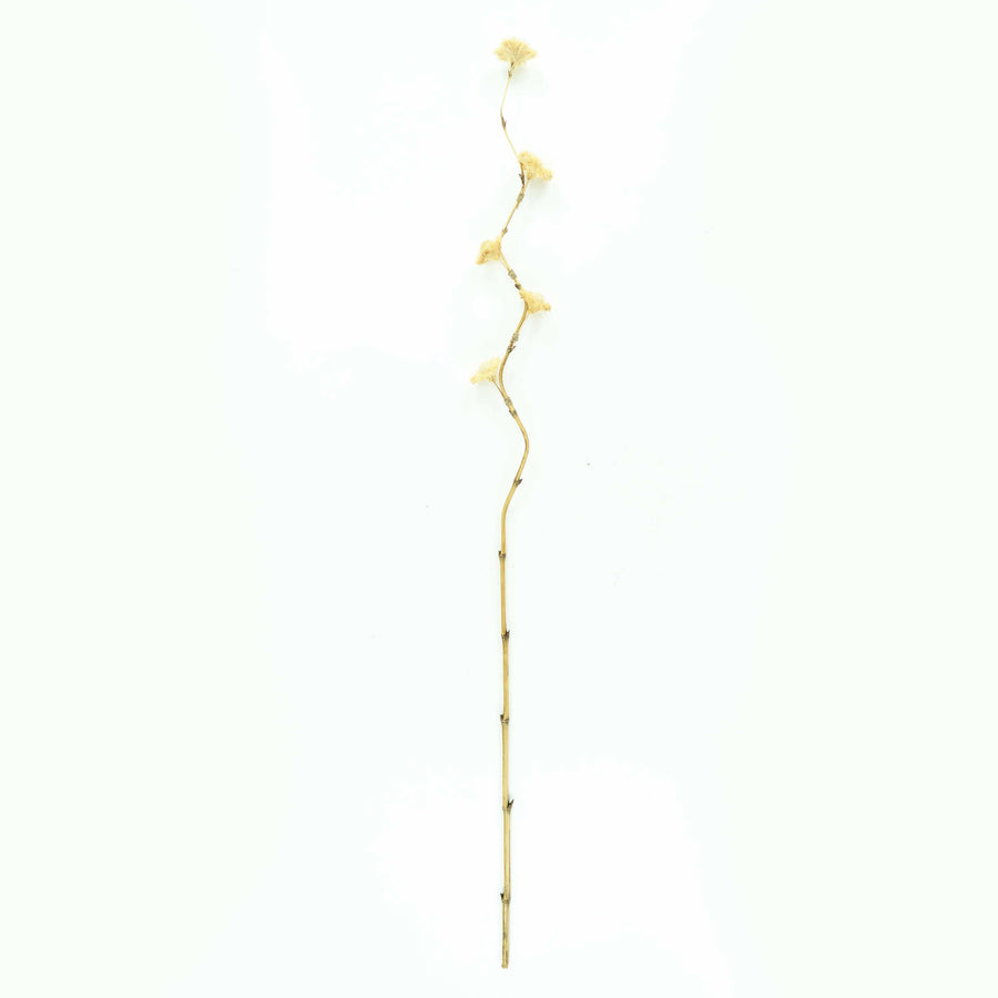 Sisal Flower Tall Stick