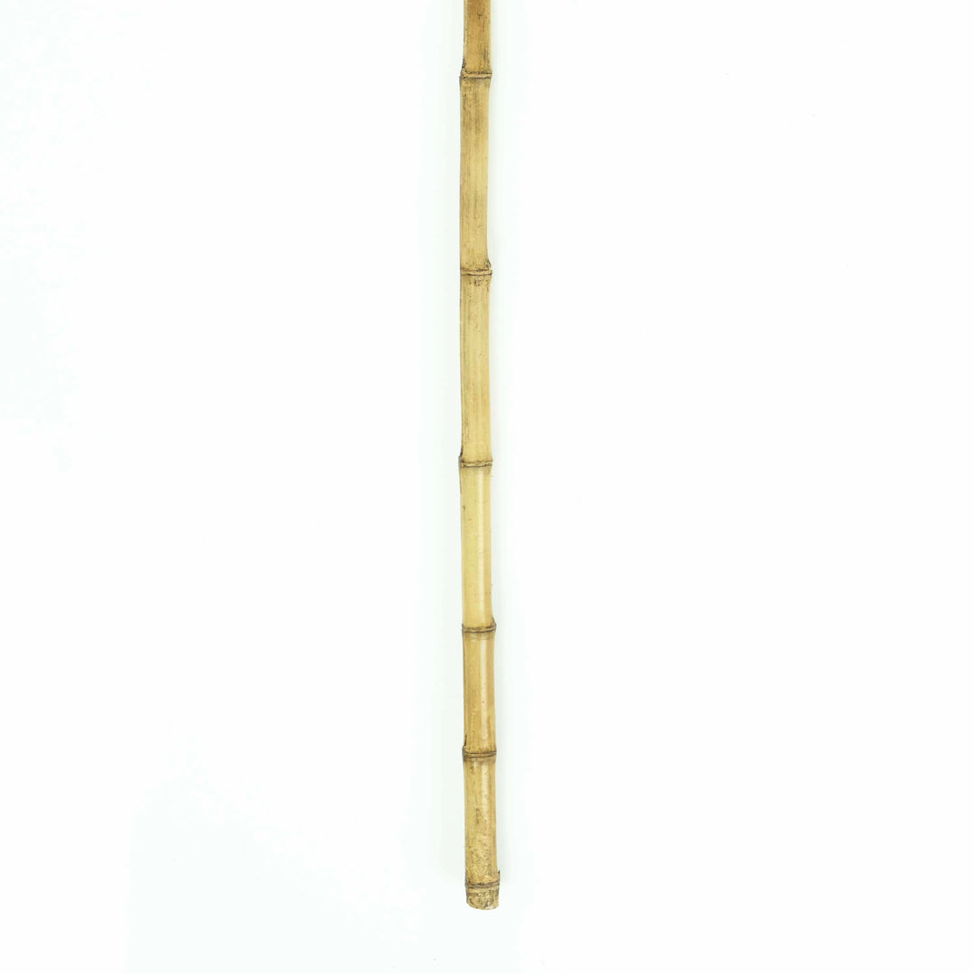 Hyacinth Fiber Tall Stick
