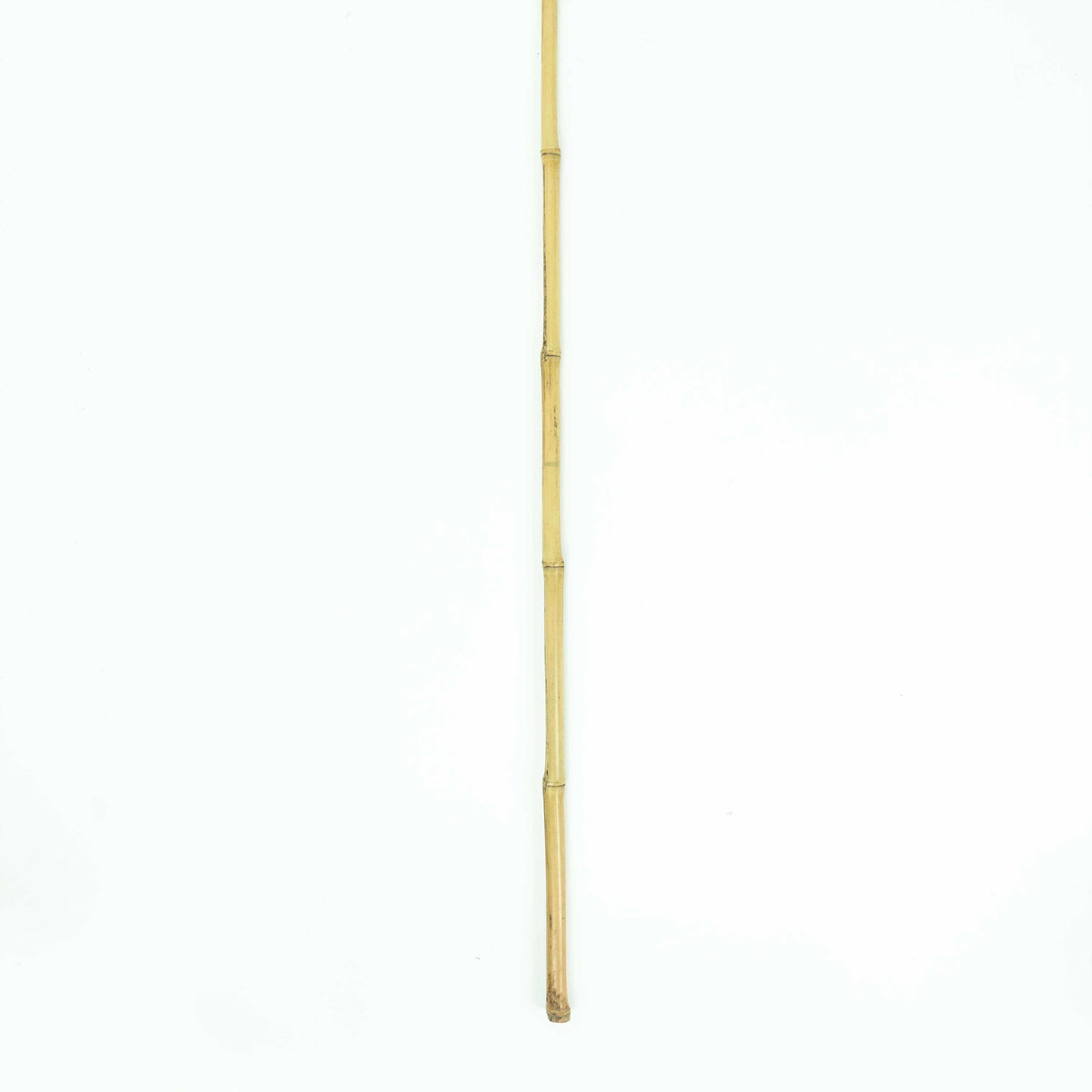 Bleach Tall Rayung Leaf