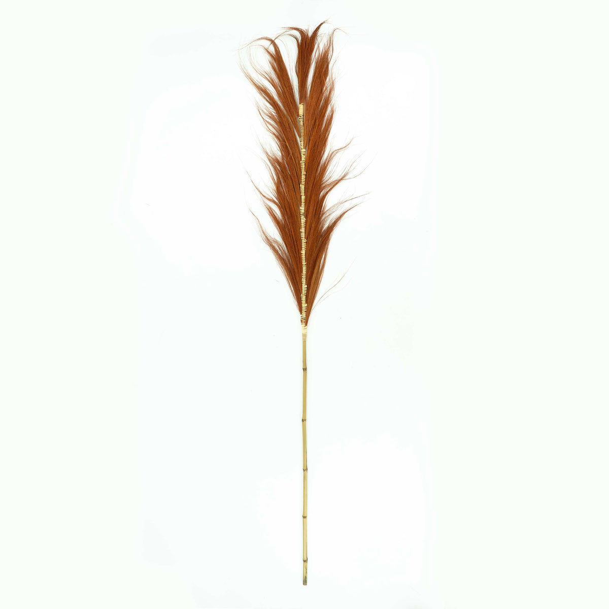 Orange Tall Rayung Leaf