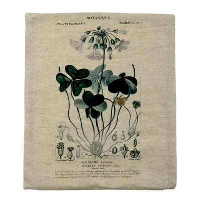 Botanique Study Cushion Cover