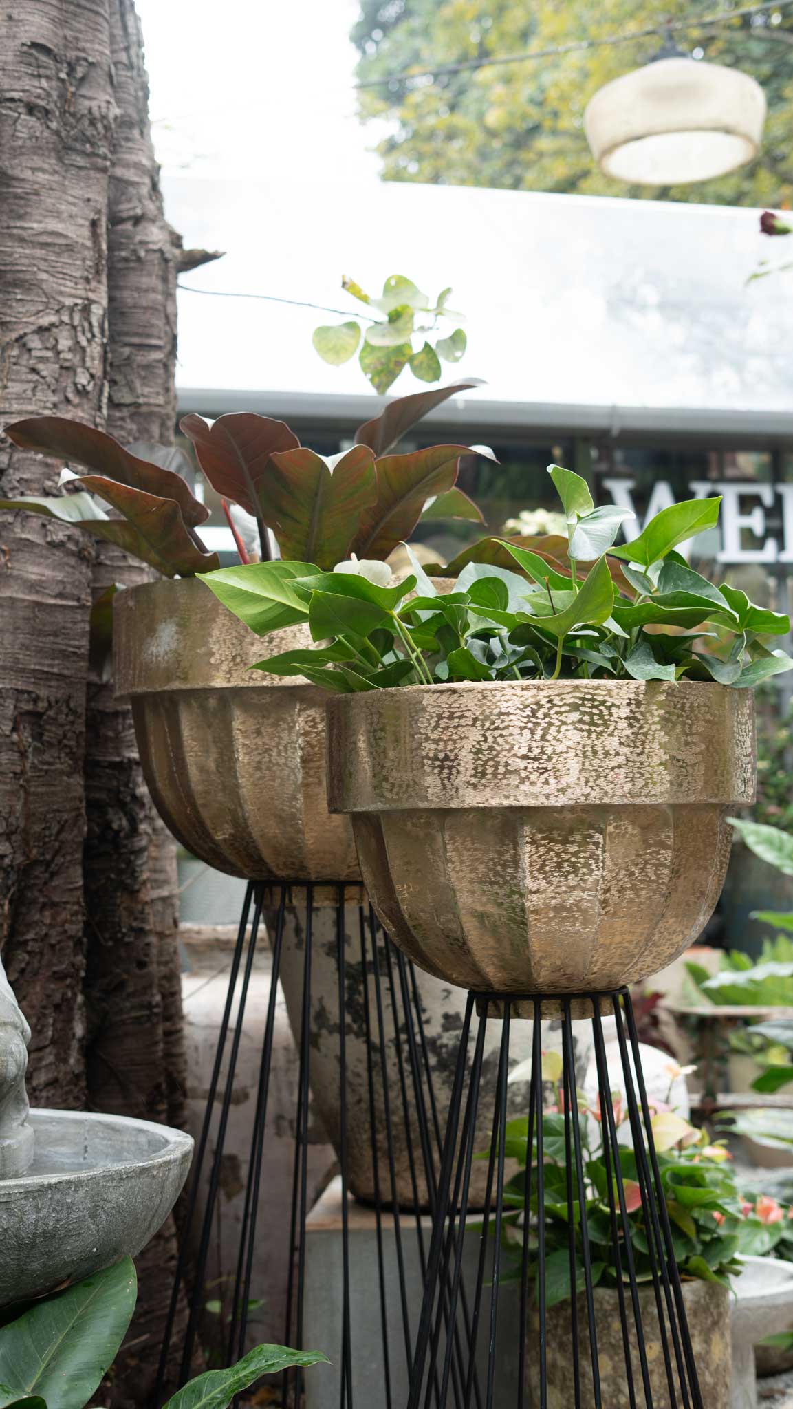 Planter With Iron Stand
