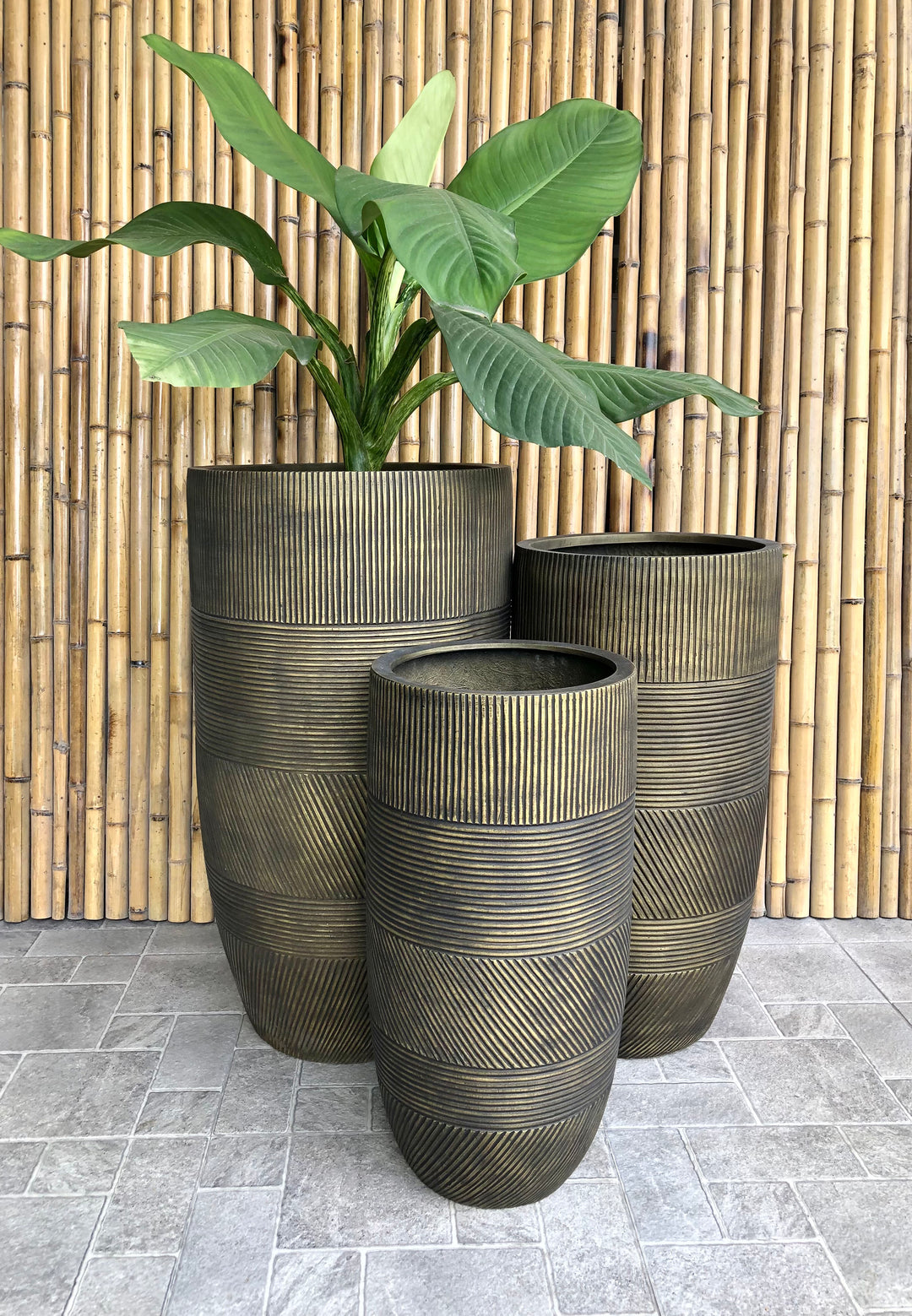 Tall Diagonal Striped Frp Slim Pot