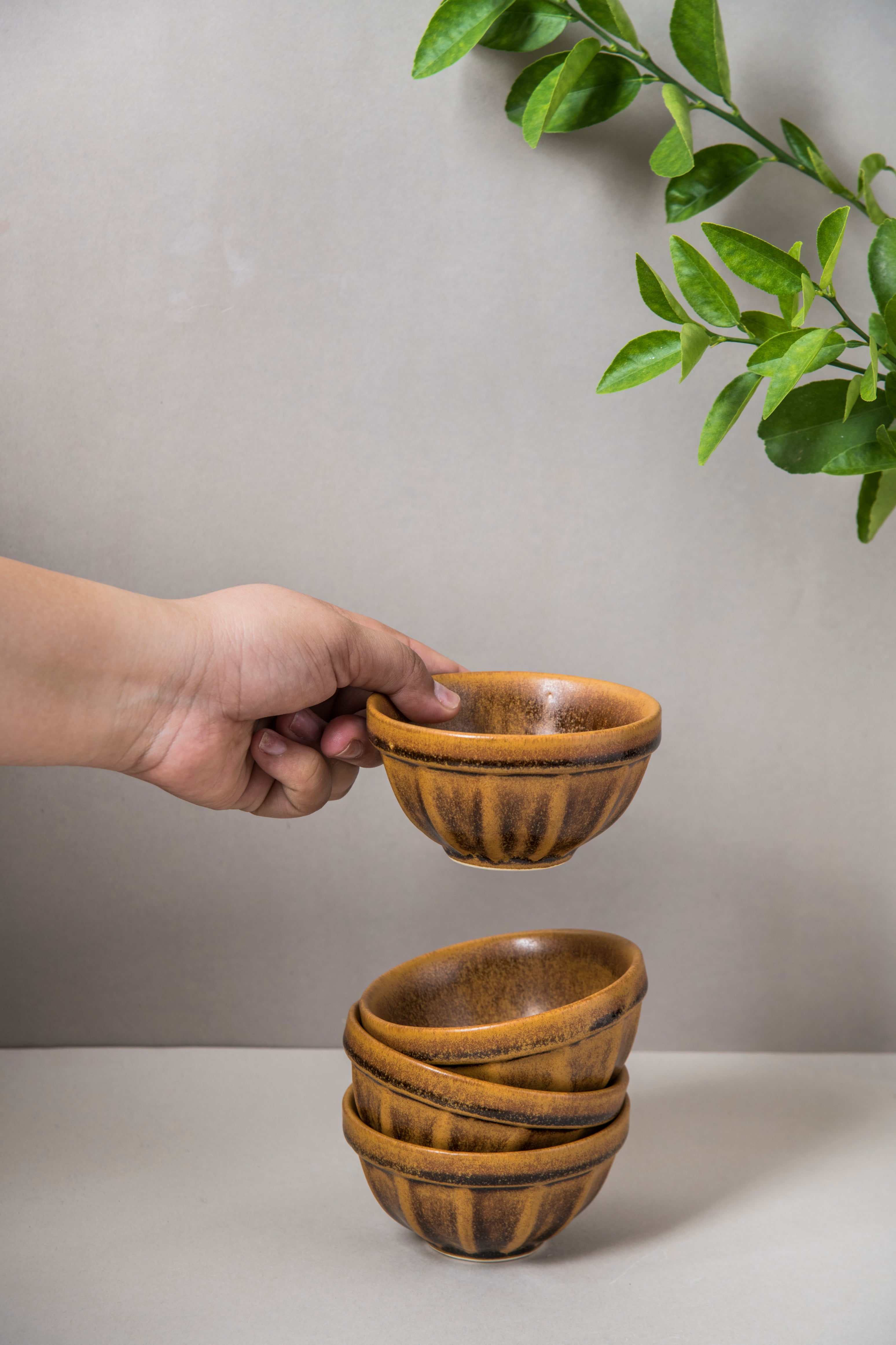 Savannah Katori Portion Bowl