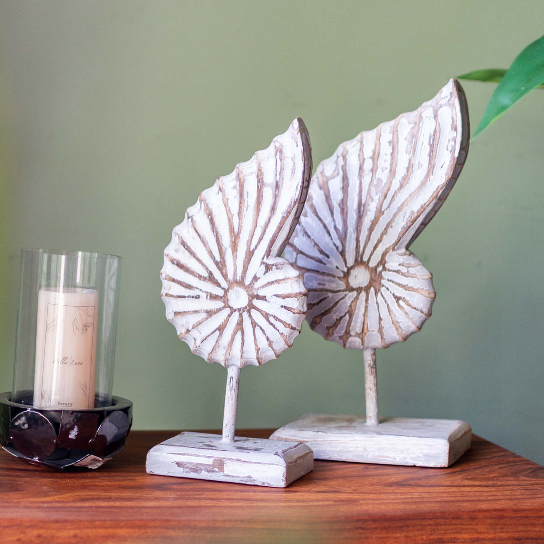 Albizia Wooden Sea Shell On Stand