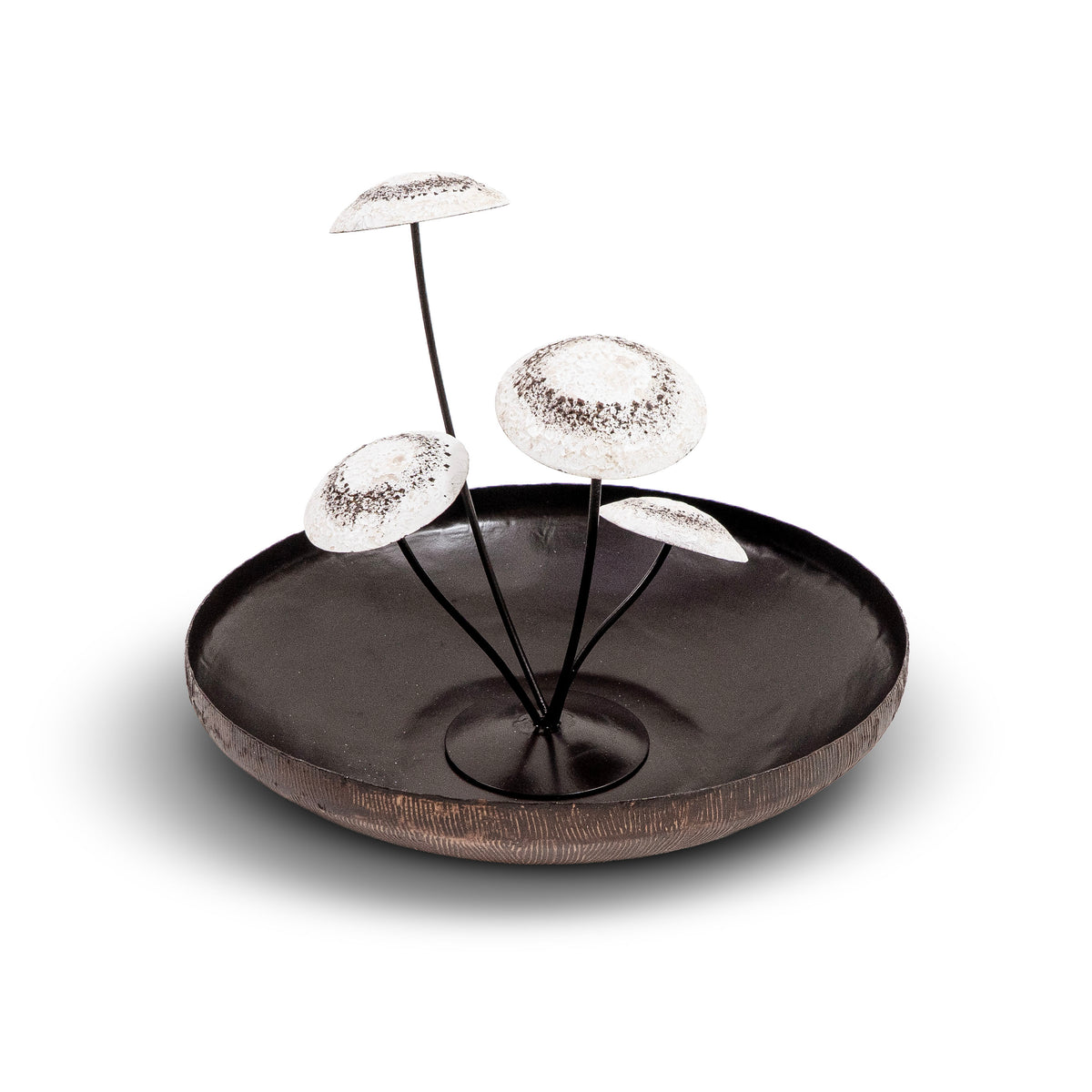 Mossara Mushroom