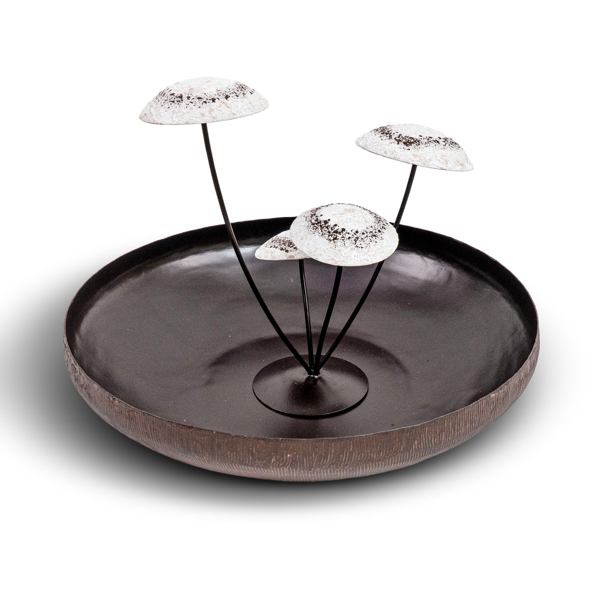 Mossara Mushroom