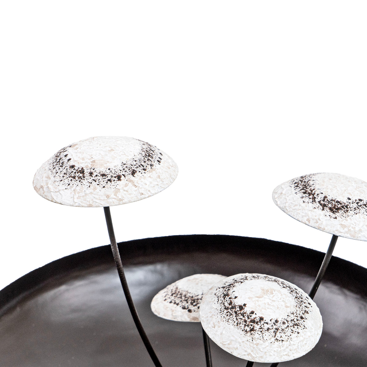 Mossara Mushroom