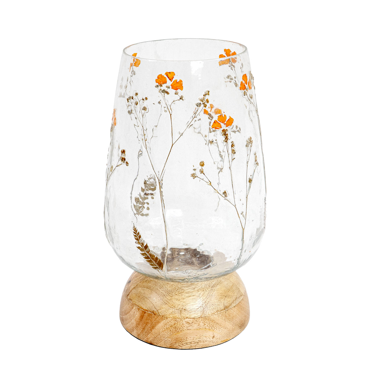 Dandelions bloom
