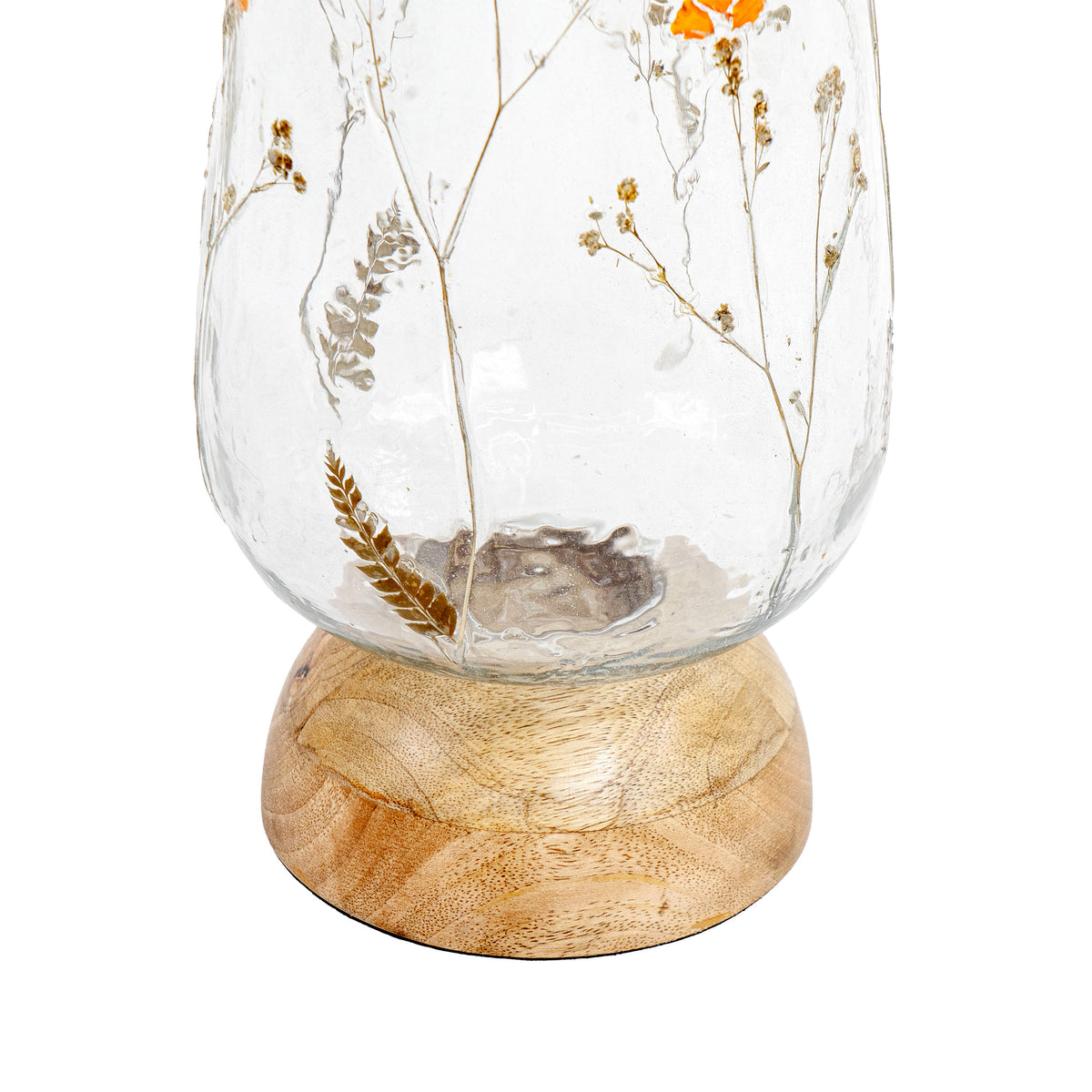 Dandelions bloom