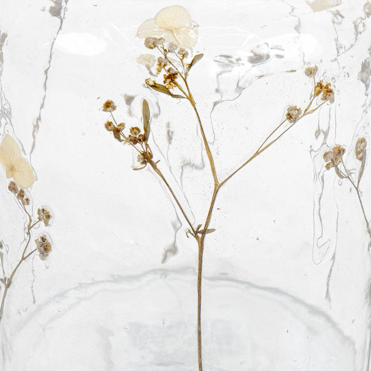 Botanical Glass Vases