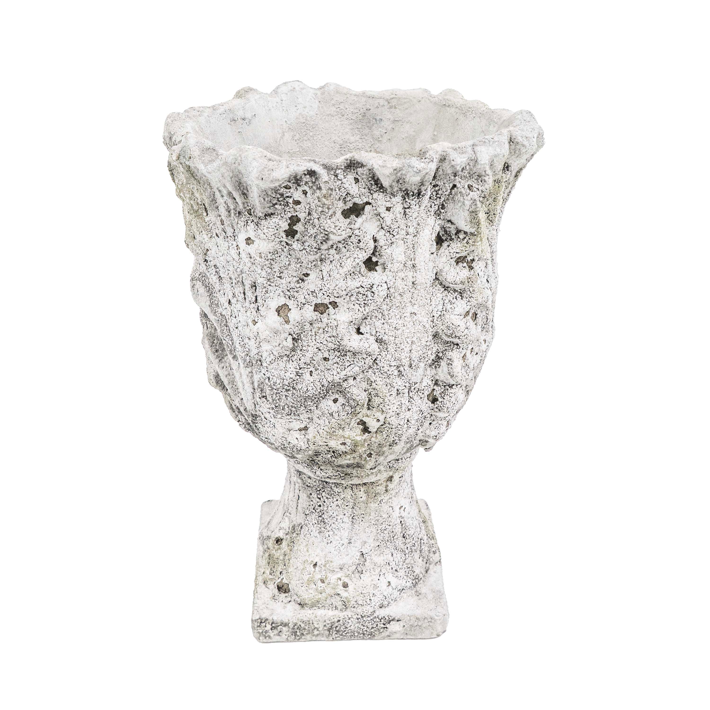 DRIFA ACANTHUS POT