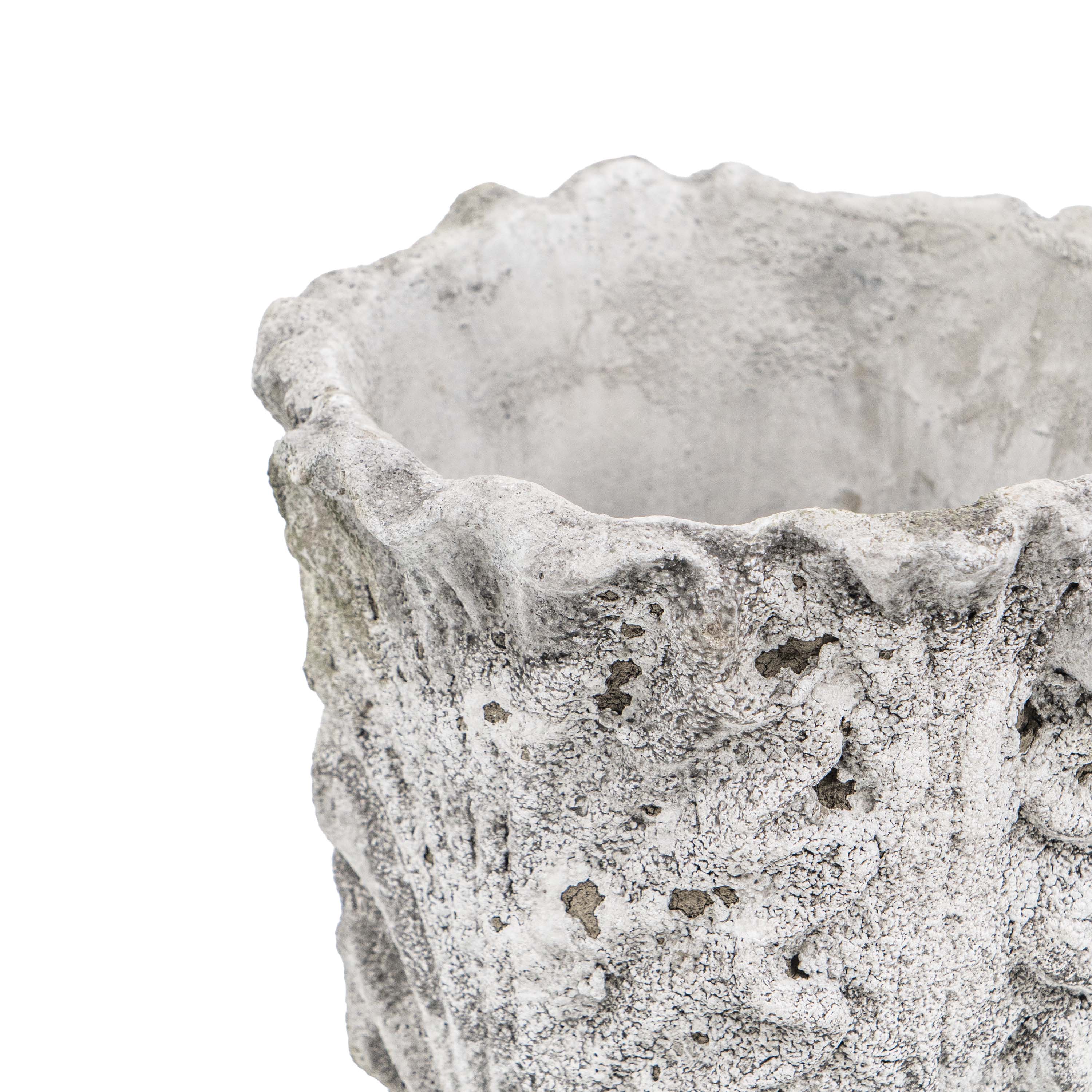 DRIFA ACANTHUS POT