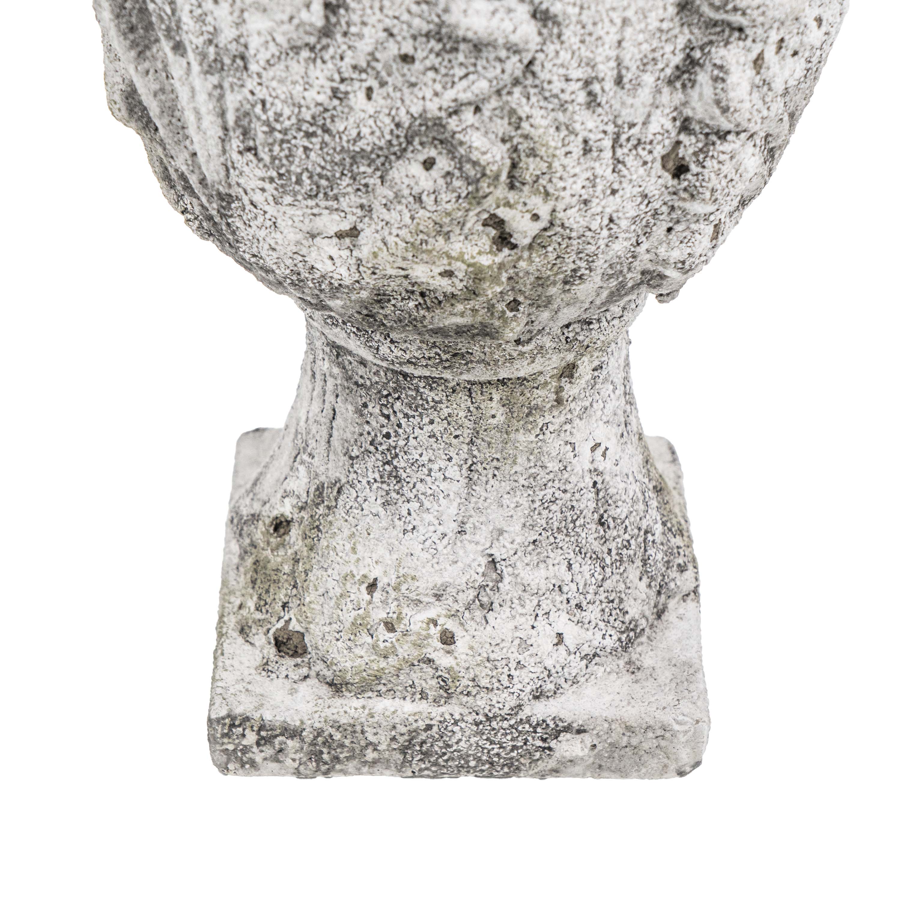 DRIFA ACANTHUS POT