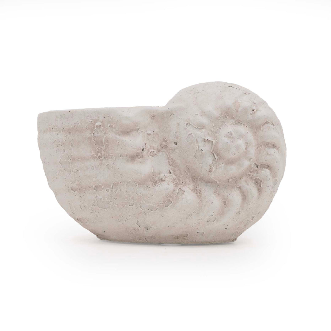 DRIFA SEASHELL POT