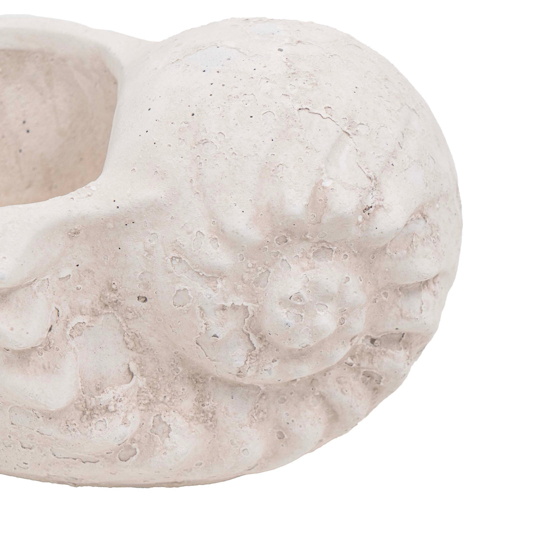 DRIFA SEASHELL POT