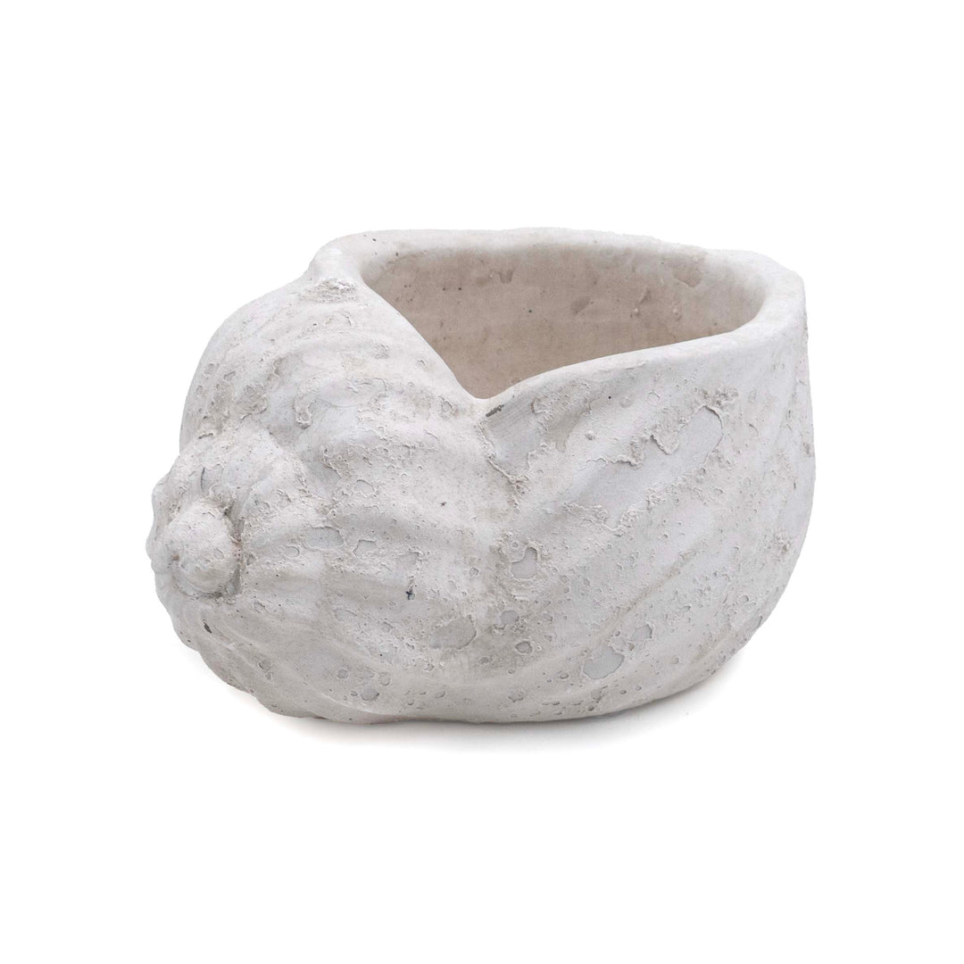 DRIFA CONCH POT