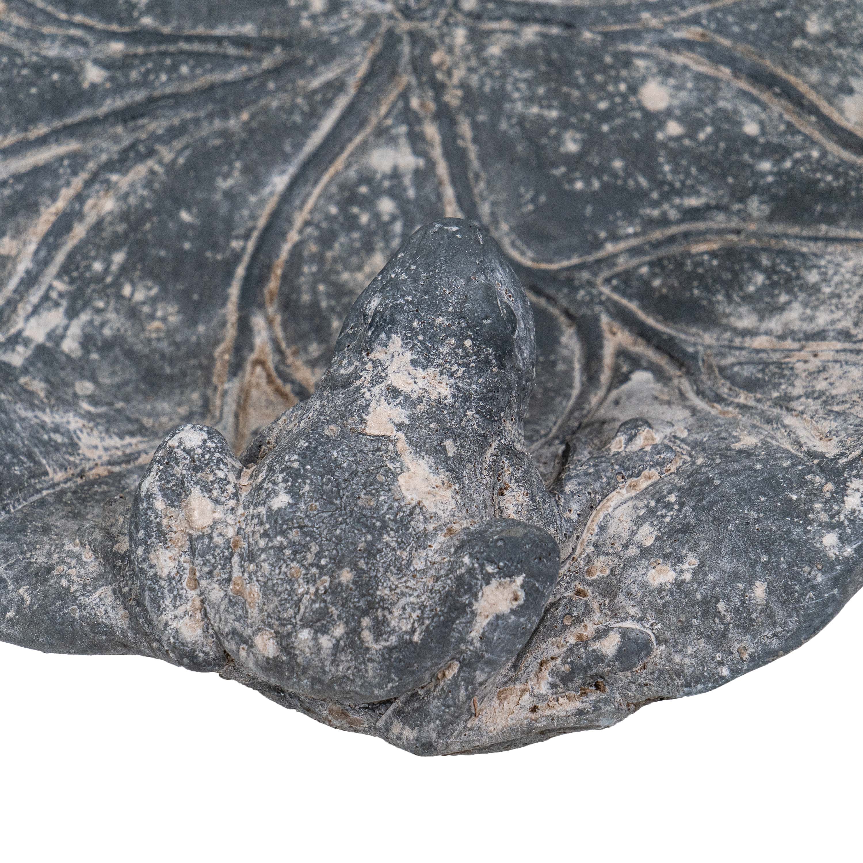 DRIFA BIRD BATH POT