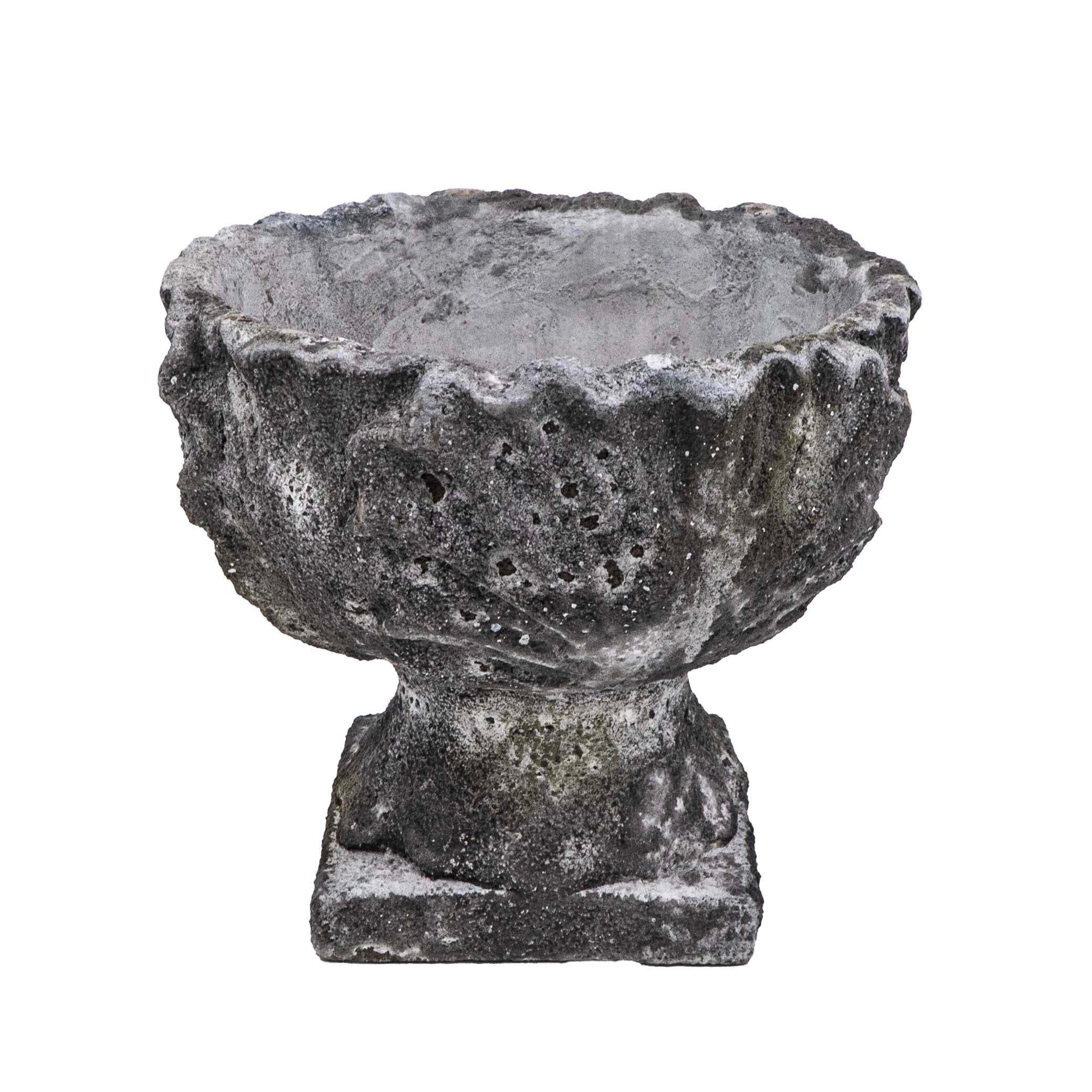 DRIFA ACANTHUS POT