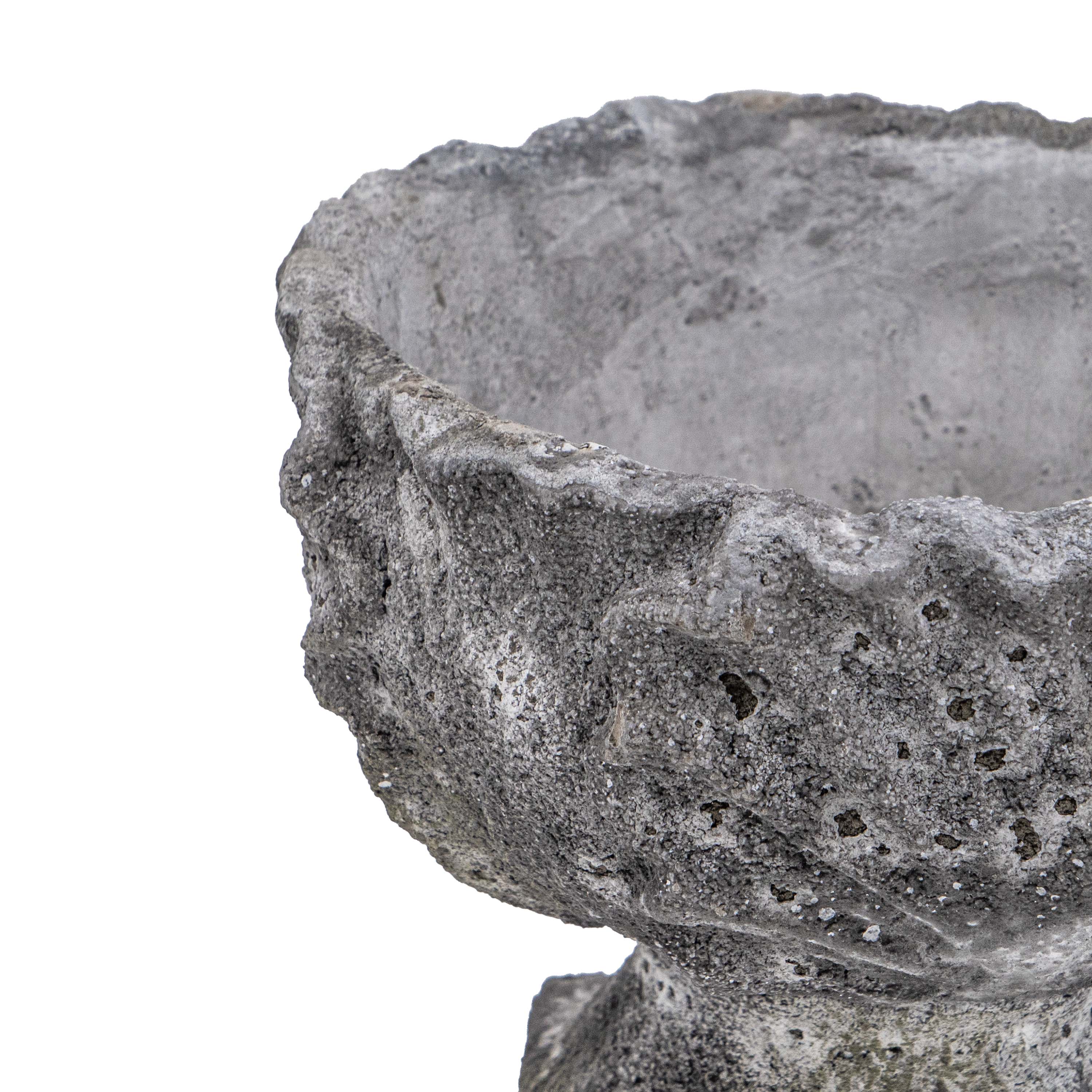 DRIFA ACANTHUS POT
