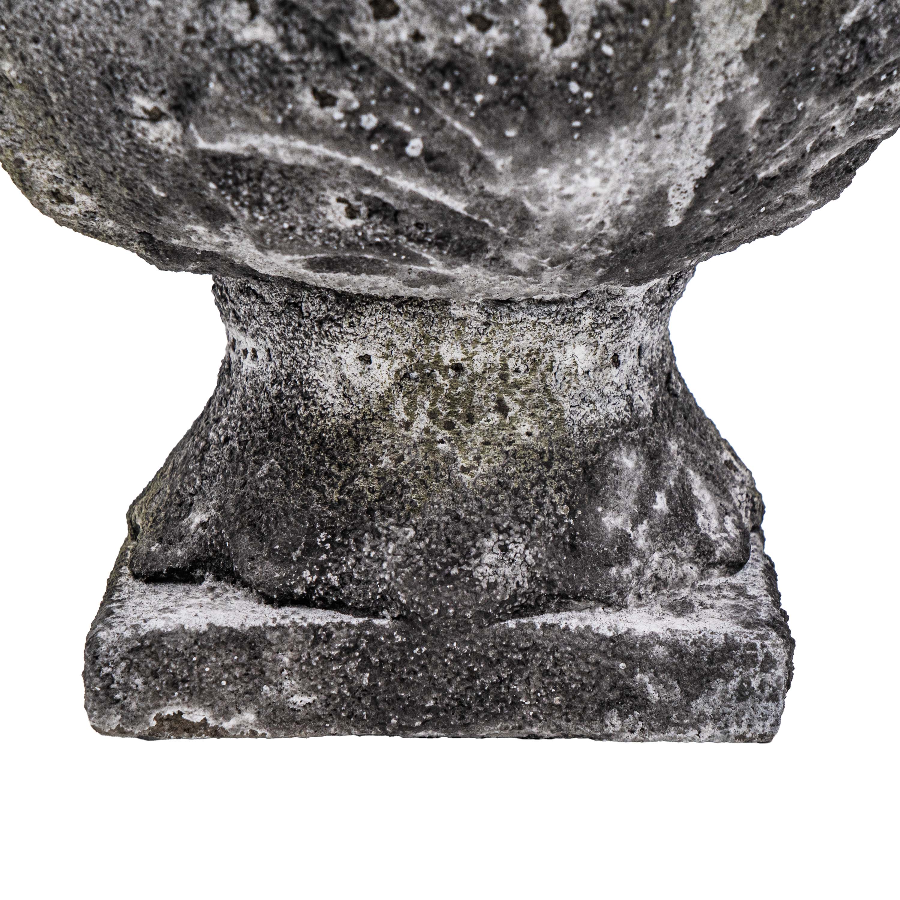 DRIFA ACANTHUS POT
