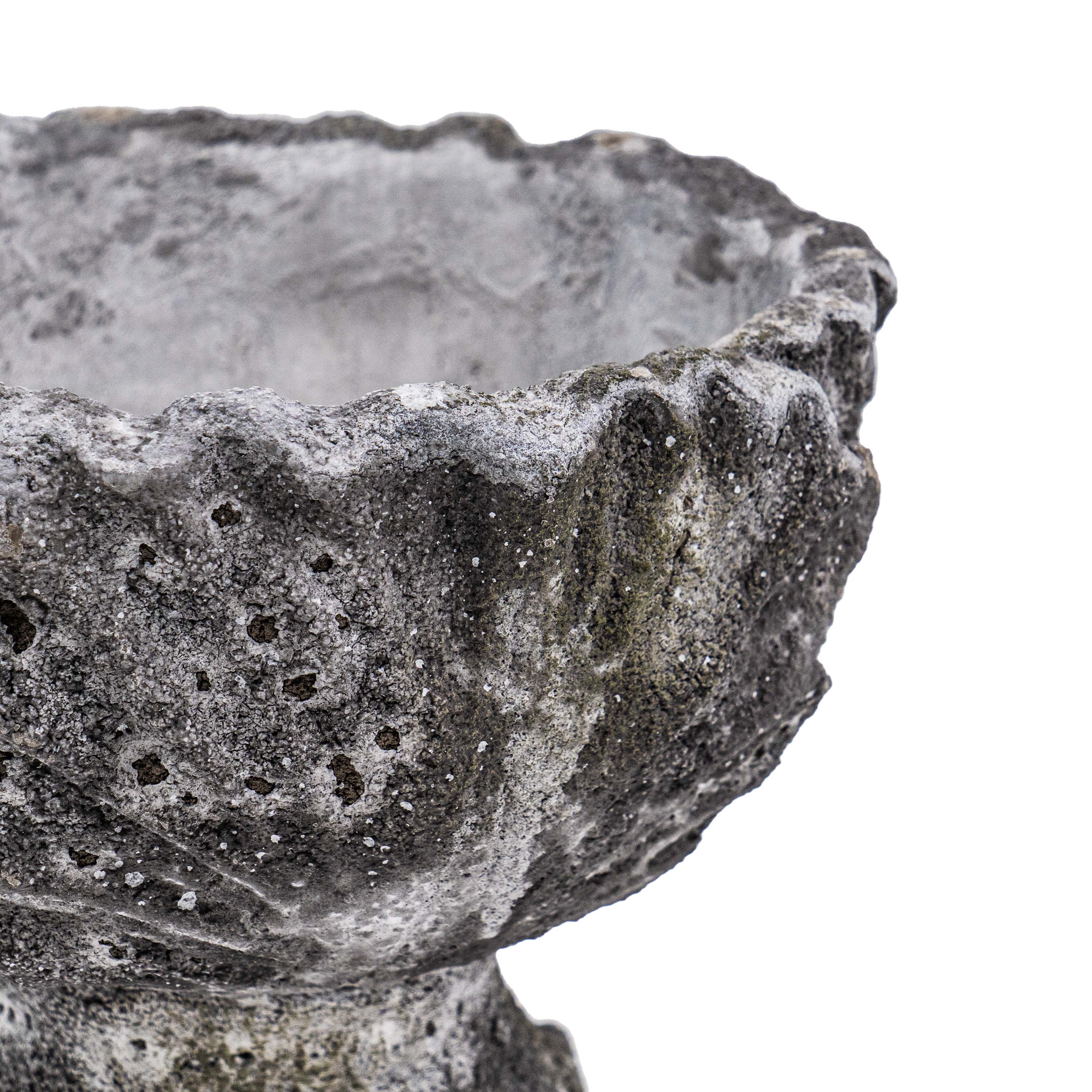 DRIFA ACANTHUS POT
